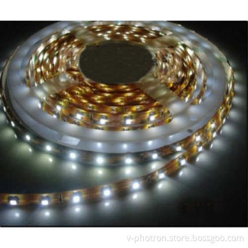 Shenzhen DC12V LED Neon Waterproof Strip Light
